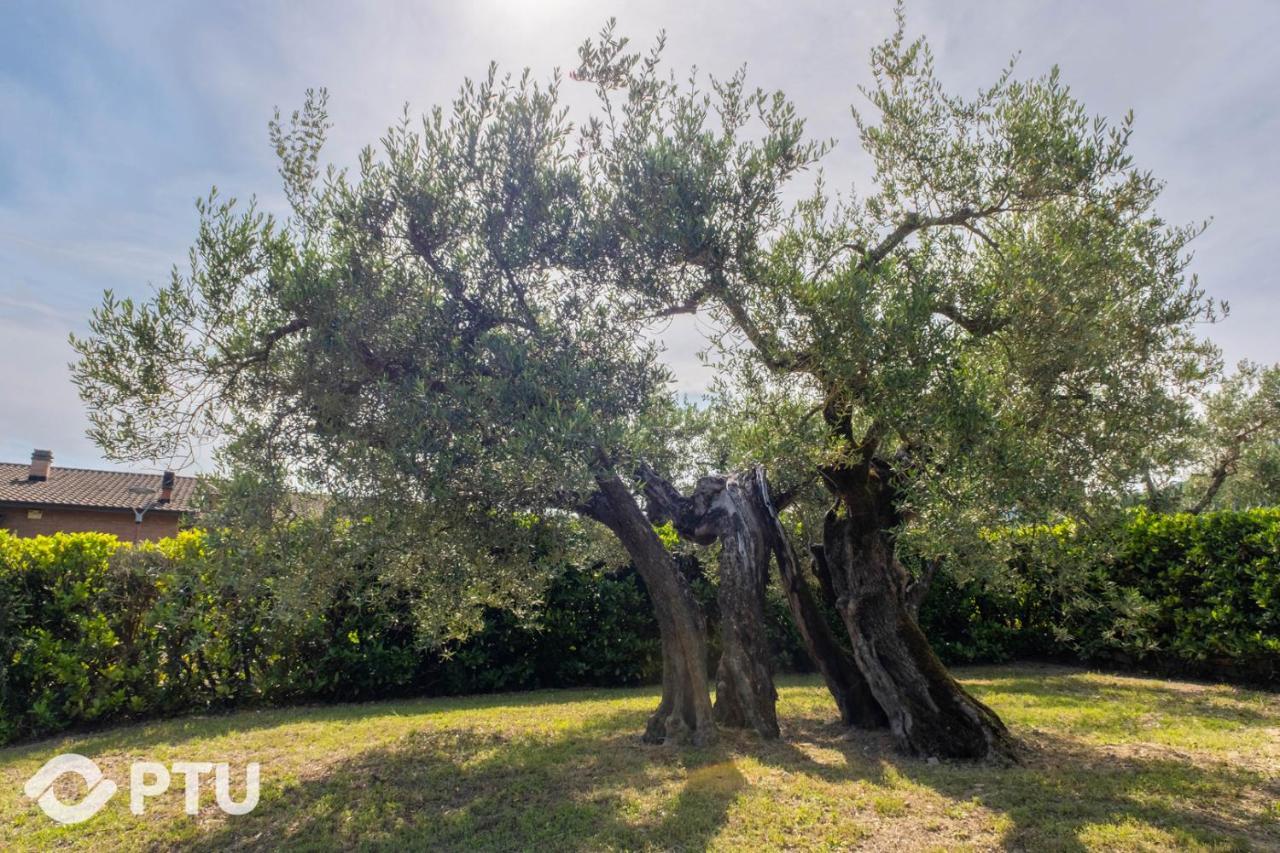 Poloturisticoumbria Del Maestrale Villa Perugia